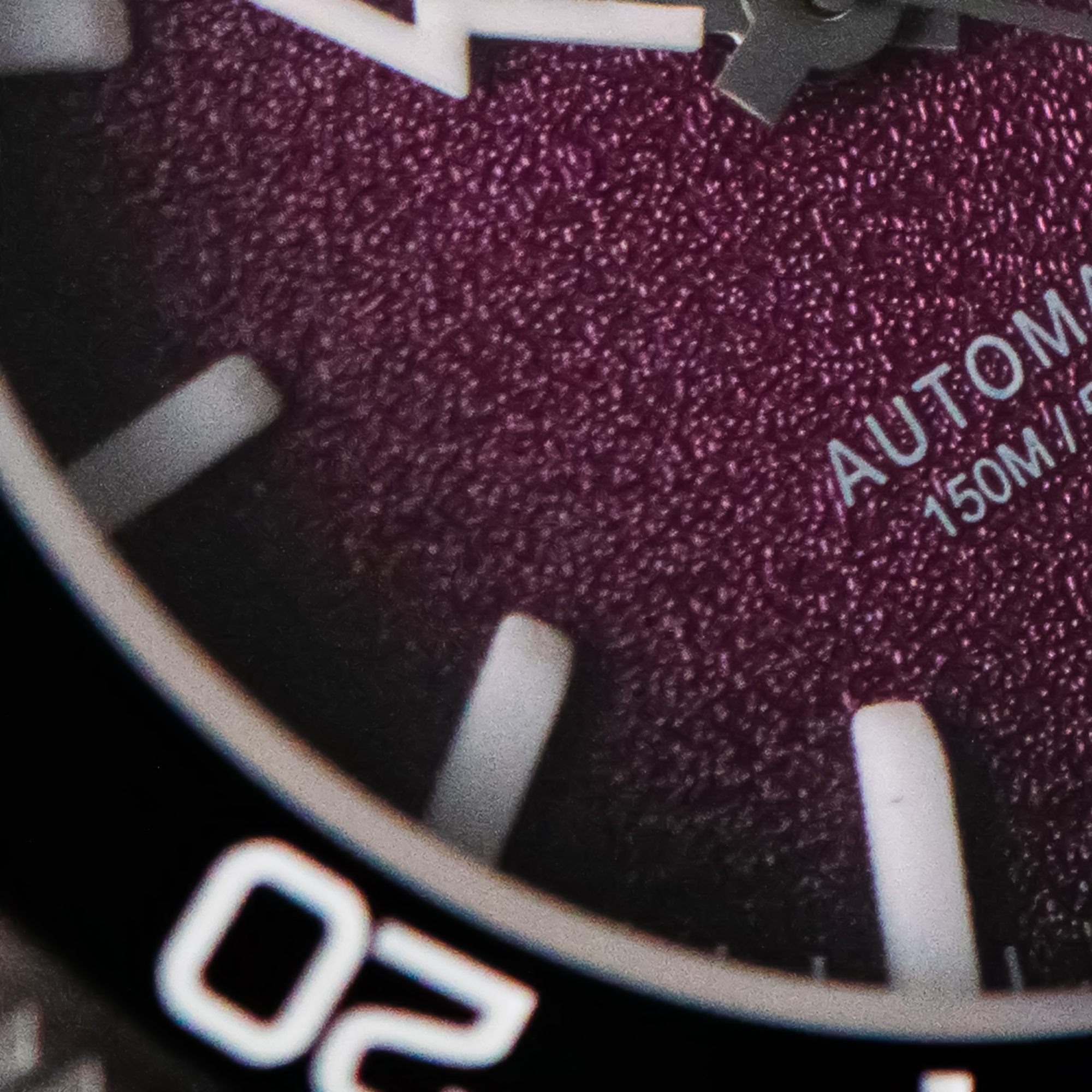 WSD9017 Men's Automatic Watch  – Watch Bezel Insert Bewertung und Preis